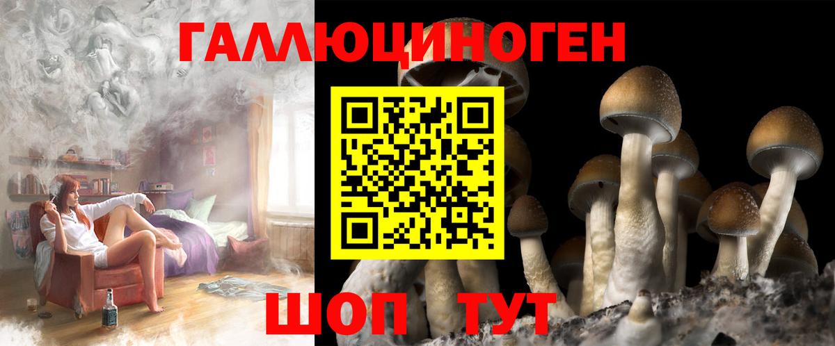 Псилоцибиновые грибы MAGIC MUSHROOMS  Галлюциногенные грибы прущие грибы  Вход с VPN  Новошахтинск 
